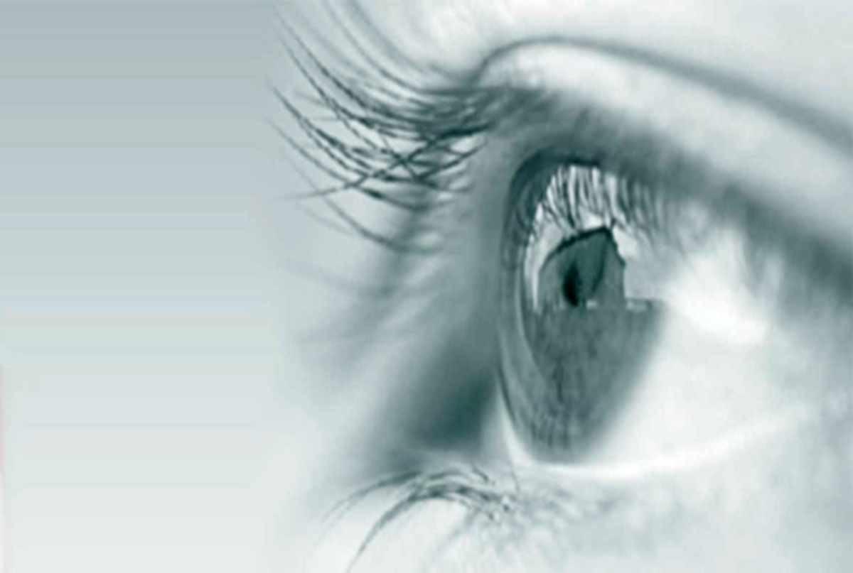 IMG-BANNER